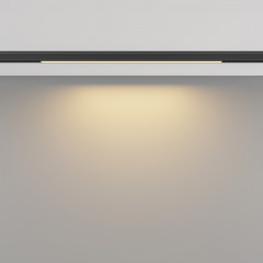 Светильник на шине Maytoni Technical TR190-1-5W2.7K-B