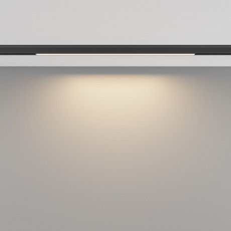 Светильник на шине Maytoni Technical TR190-1-5W3K-B
