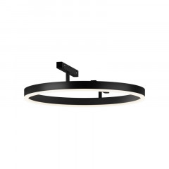 Светильник на шине Maytoni Technical TR227-2-24W4K-B