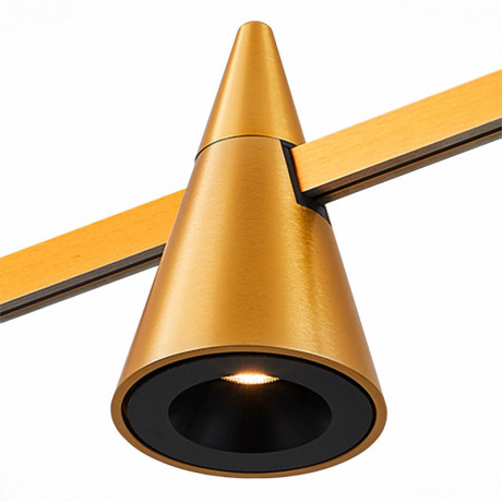 Светильник на шине ST-Luce ST813.246.05