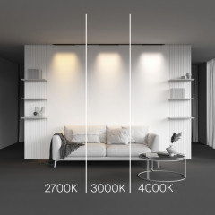 Светильник на шине Maytoni Technical TR192-1-12W2.7K-B