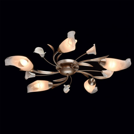 Накладная люстра MW-Light 242016205