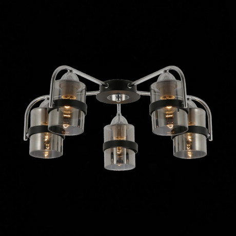 Накладная люстра Evoluce SLE102002-05