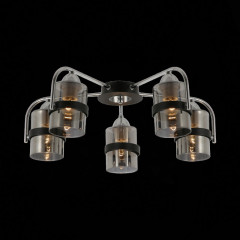 Накладная люстра Evoluce SLE102002-05