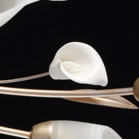 Накладная люстра MW-Light 242016306