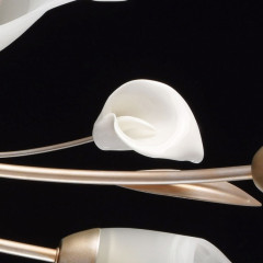 Накладная люстра MW-Light 242016306