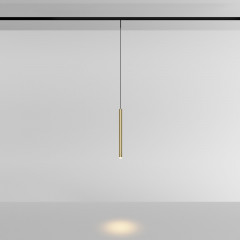 Светильник на шине Maytoni Technical TR191-1-3W3K-M-BBS