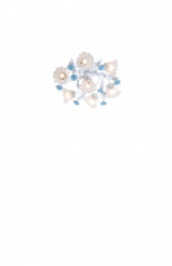 Накладная люстра Lucia Tucci Fiori di rose 112.6.1