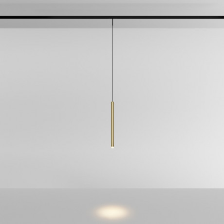 Светильник на шине Maytoni Technical TR191-1-3W4K-M-BBS