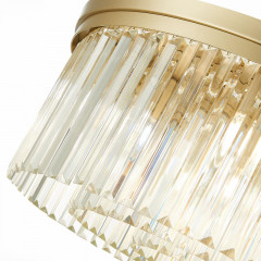 Накладная люстра ST-Luce SL1624.202.09