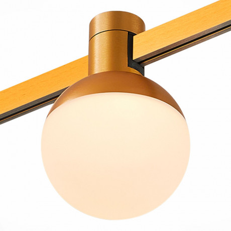 Светильник на шине ST-Luce ST815.246.05