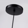 Подвесная люстра Ambrella Light TR8439