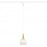 Светильник на шине Ambrella Light GV1652