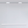 Светильник на шине Ambrella Light GL6782