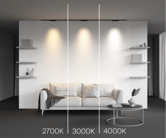 Светильник на шине Maytoni Technical TR193-1-10W3K-M-B