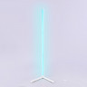 Детский торшер Ambrella Light FL8020