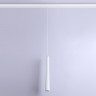 Светильник на шине Ambrella Light GL4350