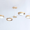 Люстра на штанге Ambrella Light FL51609