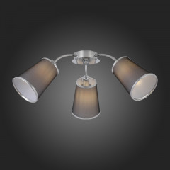 Накладная люстра Evoluce SLE103002-03
