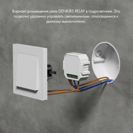 Wi-Fi реле Denkirs RL1001-SM/1