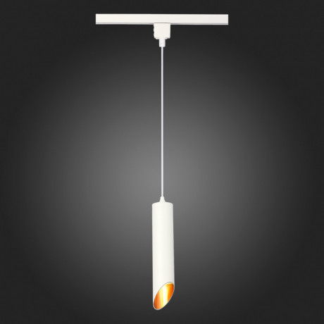 Светильник на шине ST-Luce ST152.506.01