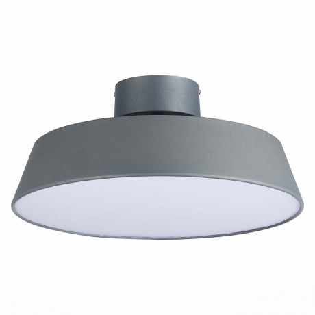 Накладной светильник Evoluce SLE600272-01