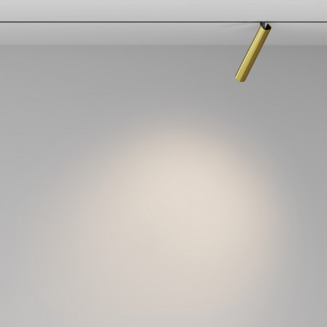 Светильник на шине Maytoni Technical TR141-2-6W3K-M-BS