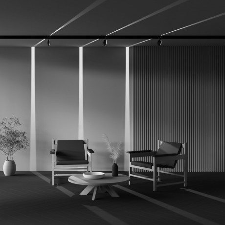 Светильник на шине Maytoni Technical TR090-2-6W4K-B