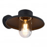 Светильник настенный ST-Luce SL9542.701.01