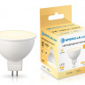 Светодиодная лампа Ambrella Light 160903
