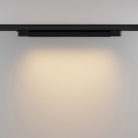 Светильник на шине Maytoni Technical TR196-3-20W2.7K-B