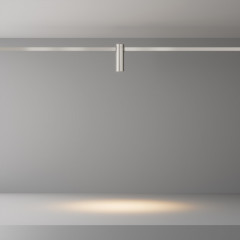 Светильник на шине Maytoni Technical TR143-1-5W3K-W-PT