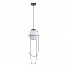 Подвесной светильник ST-Luce SL1189.403.01