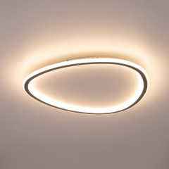 Накладной светильник Citilux CL215B251E