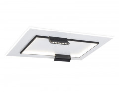 Накладной светильник Ambrella Light FL51456