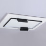 Накладной светильник Ambrella Light FL51456