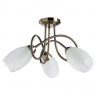 Накладная люстра ARTE Lamp A8616PL-3AB