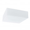 Накладной светильник ARTE Lamp A7428PL-2WH