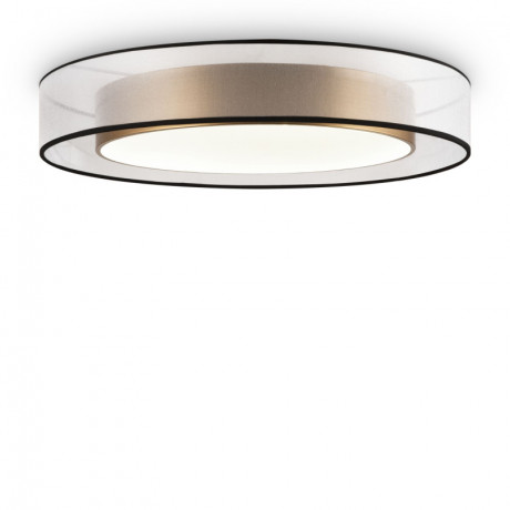 Накладной светильник Freya FR6005CL-L48G