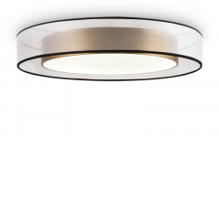 Накладной светильник Freya FR6005CL-L48G