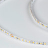 Лента DesignLed DSG3120-24-WW-33