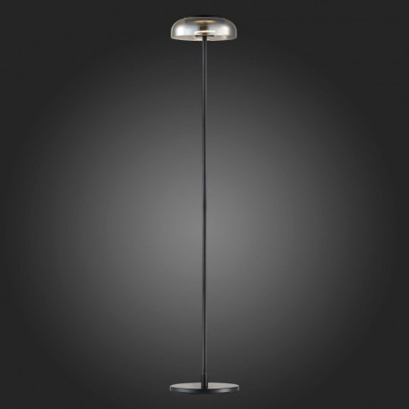 Торшер ST-Luce SL6002.405.01