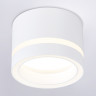 Накладной светильник Ambrella Light TN5245