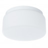 Накладной светильник ARTE Lamp A7720PL-1WH