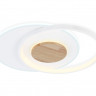 Накладной светильник Ambrella Light FL4788