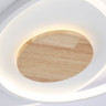 Накладной светильник Ambrella Light FL4788