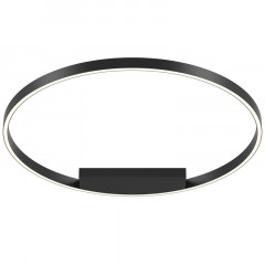 Накладной светильник Maytoni MOD058CL-L50BK