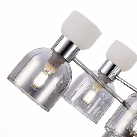 Люстра на штанге Evoluce SLE1045-102-06