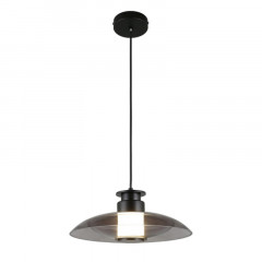 Подвесной светильник APLOYT APL.648.06.10