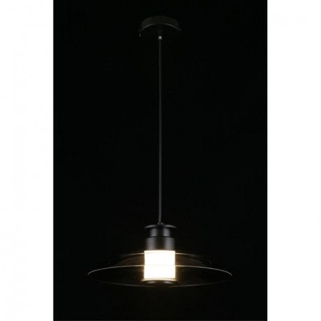 Подвесной светильник APLOYT APL.648.06.10